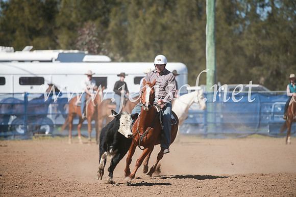 CCCampdraft2016_5659