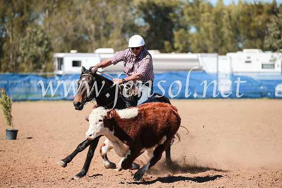 CCCampdraft2016_5568