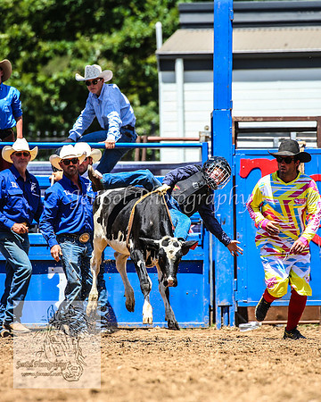 TumbarumbaRodeoNYD2025_0246