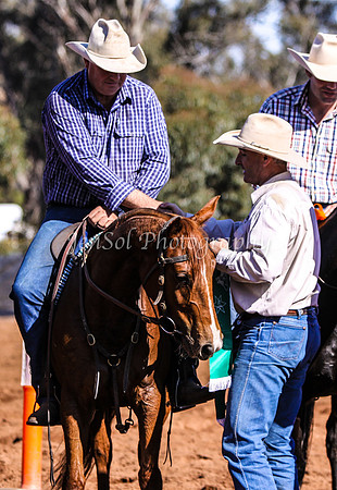 Wwyalong0216