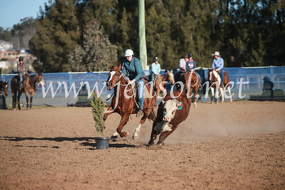 CCCampdraft2016_6672