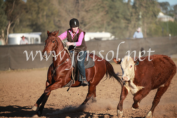 CCCampdraft2016_6851