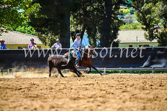 OrangeCampdraft2017_4580
