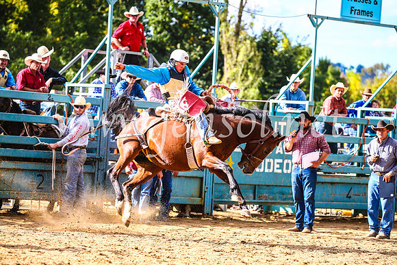 TumutRodeo2017_1788