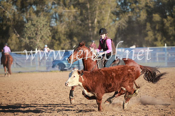 CCCampdraft2016_6845