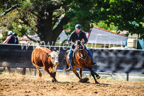OrangeCampdraft2017_4433