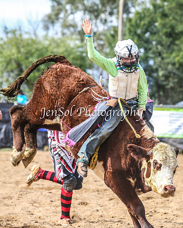 TumutRodeo2014_1102