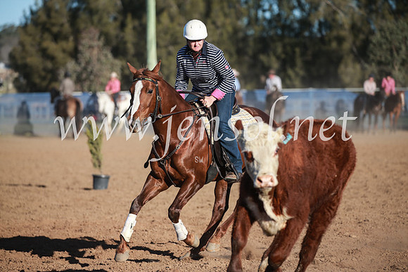 CCCampdraft2016_6651