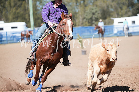 CCCampdraft2016_5864
