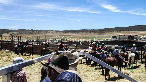 AdaminabyCampdraft2015_0771