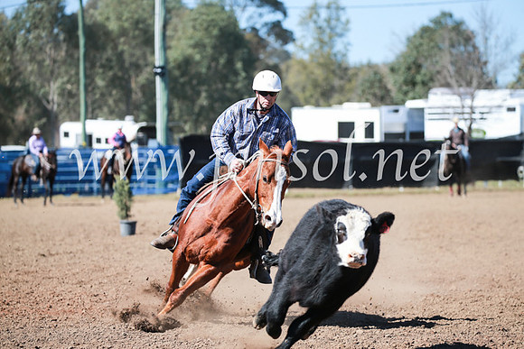 CCCampdraft2016_5652