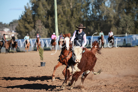 CCCampdraft2016_6681
