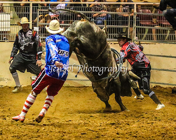 RealDealRodeoFeb2014_0915