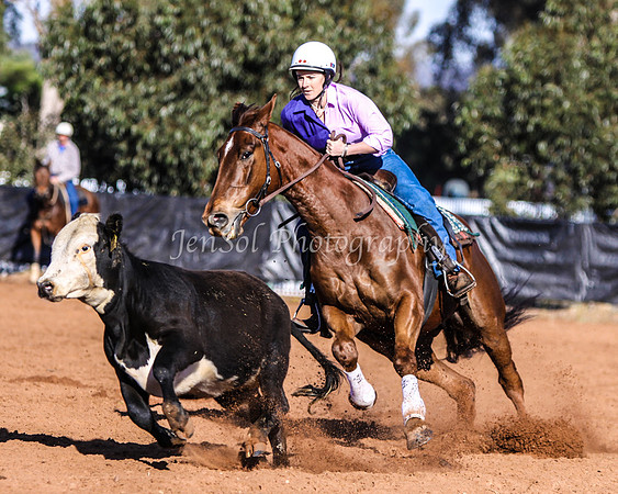 Wwyalong0072
