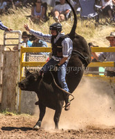 Taralga1_0658