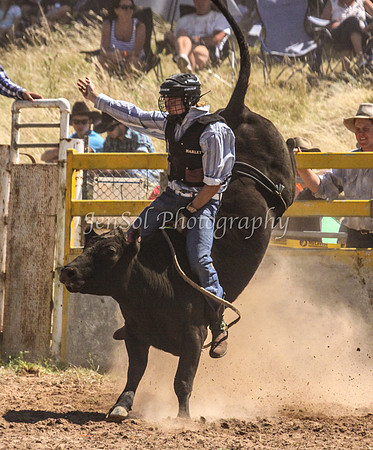 Taralga1_0658