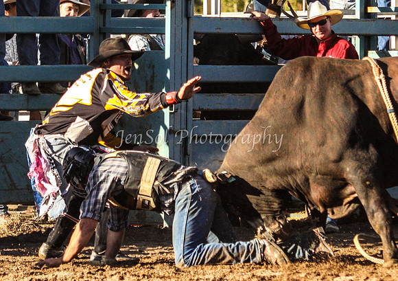 Tumut2_0428