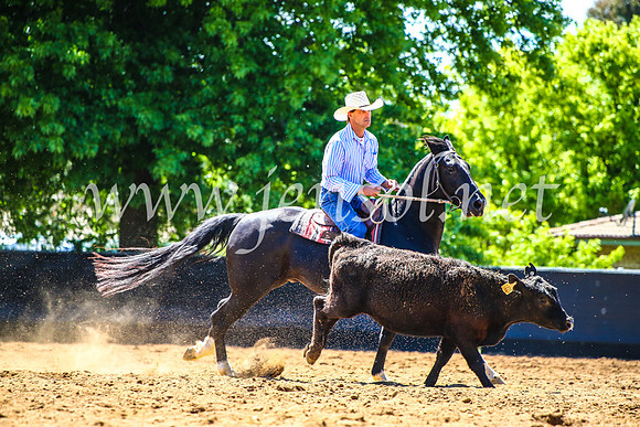 OrangeCampdraft2017_4492