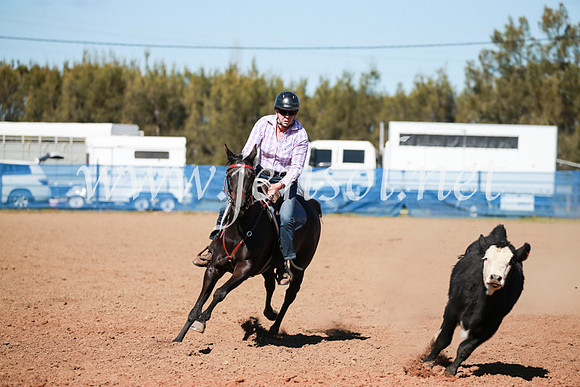 CCCampdraft2016_5761