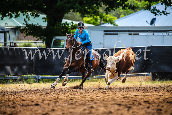 OrangeCampdraft2017_4010