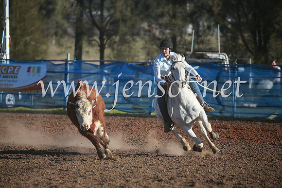 CCCampdraft2016_6517