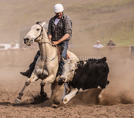 IMG_0785CabSat