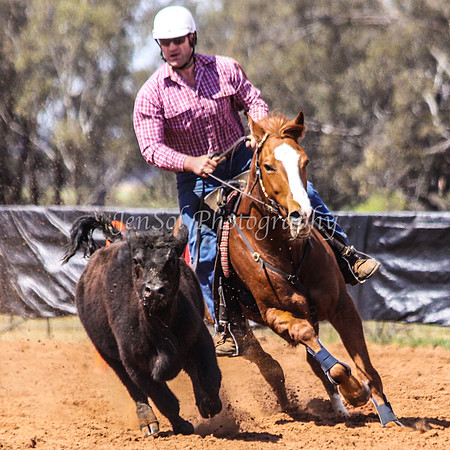 Wwyalong0422