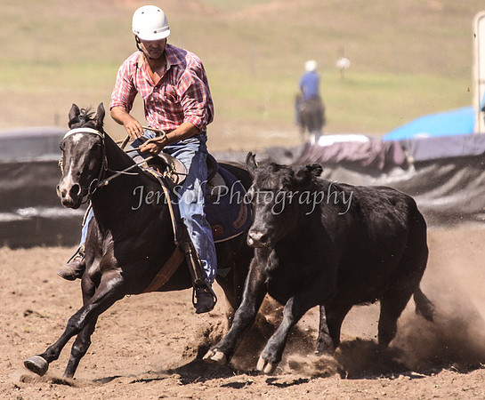 IMG_0326CabSat