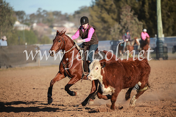 CCCampdraft2016_6858