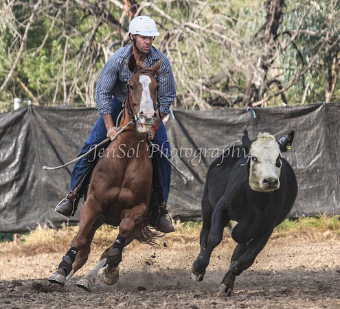 GundiOpen1_0039