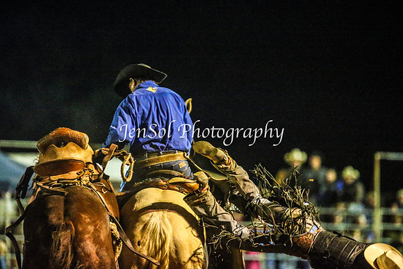 TumutRodeo2014_5369