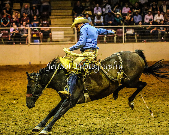 RealDealRodeoFeb2014_1719