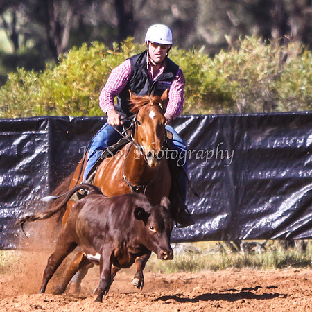 Wwyalong0138