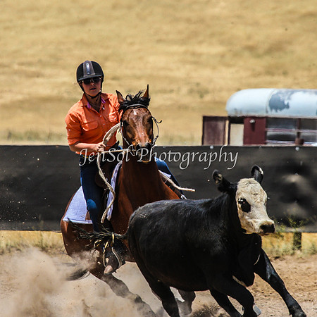 AdaminabyCampdraftSun2015_3175