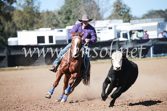 CCCampdraft2016_5807