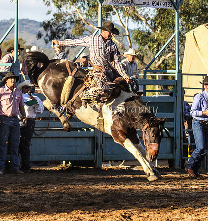 Tumut2_0530
