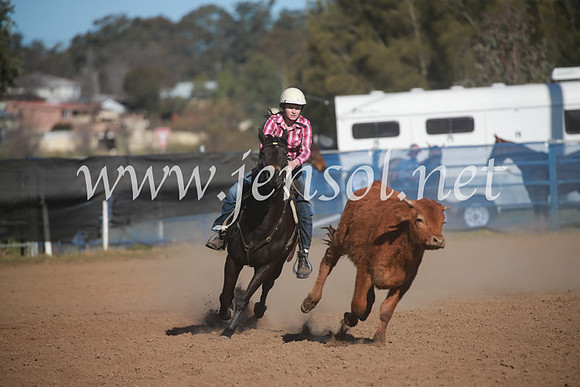 CCCampdraft2016_6246