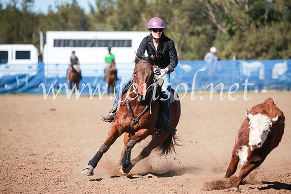 CCCampdraft2016_5501