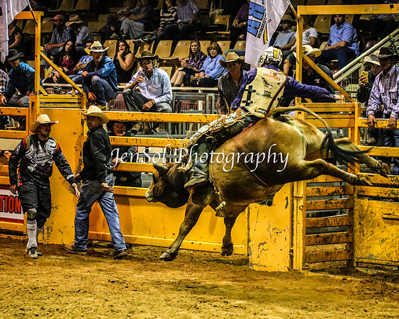 RealDealRodeoFeb2014_2112