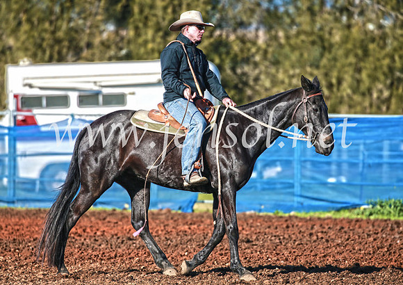 CCCampdraft2016_1664
