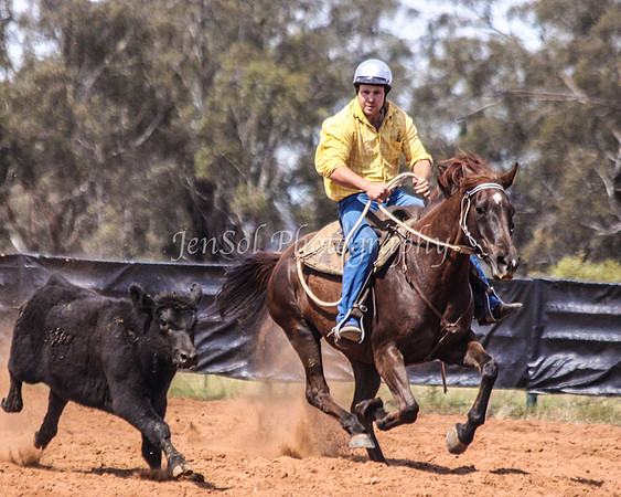 Wwyalong0509