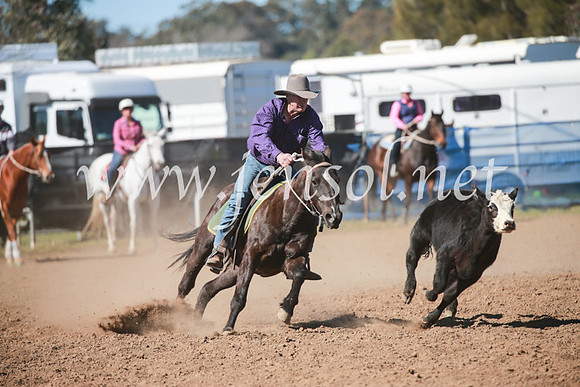 CCCampdraft2016_5538