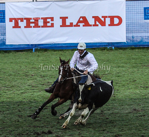 EquitanaSat_1196
