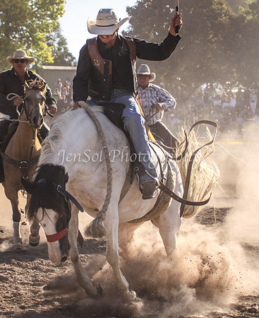 Taralga1_1141