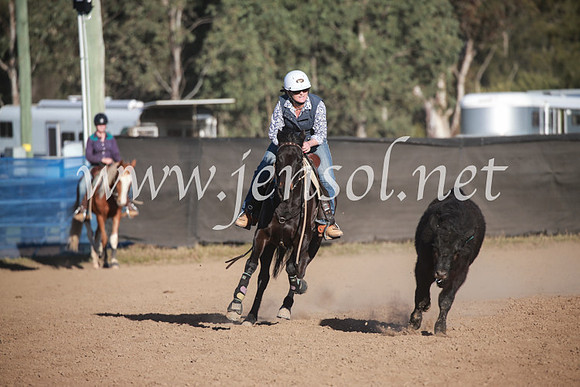 CCCampdraft2016_6648
