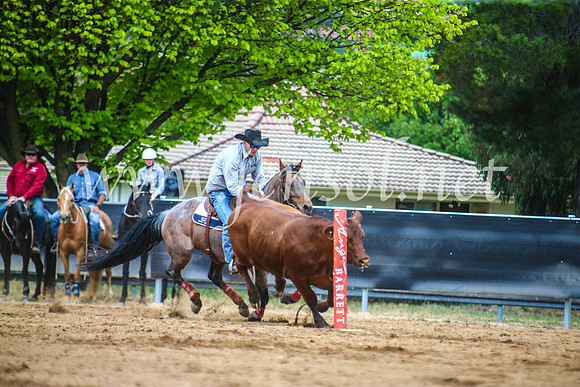 OrangeCampdraft2017_5788