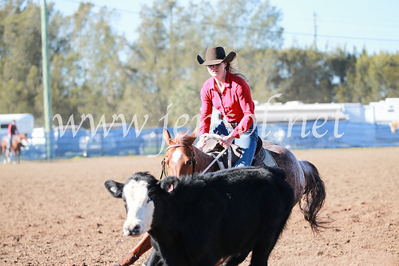 CCCampdraft2016_5250