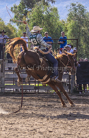 Corryong09 506