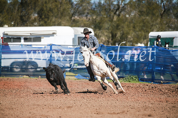 CCCampdraft2016_5909