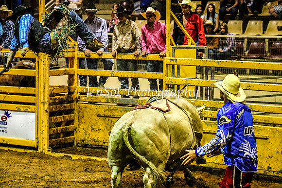 RealDealRodeoFeb2014_2060